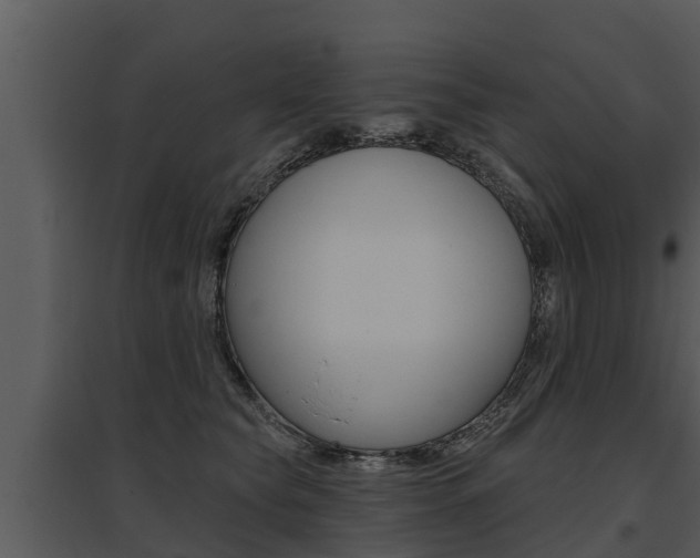 X0000095680565200801081105