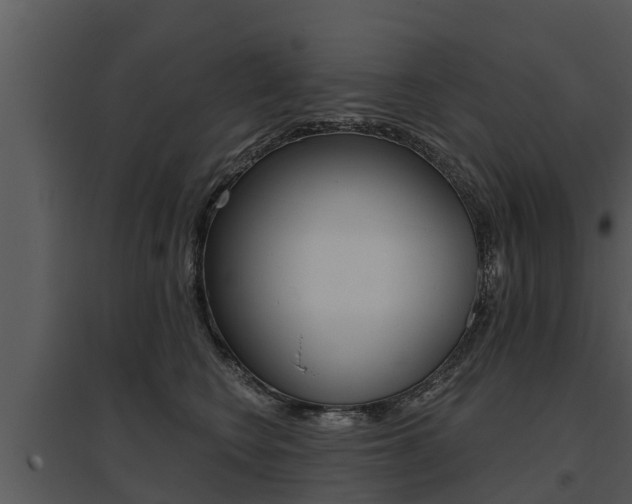X0000095680566200801081106