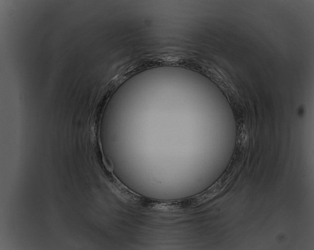 X0000095680568200801081106