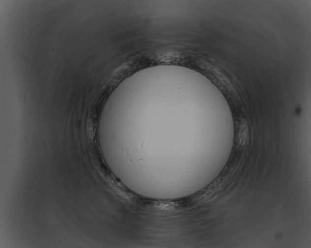 X0000095680569200801081106