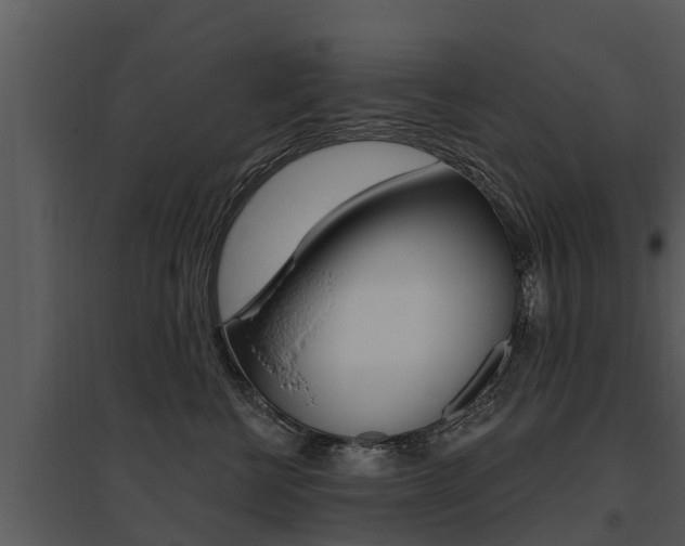 X0000095680570200801081106