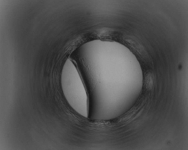 X0000095680571200801081106