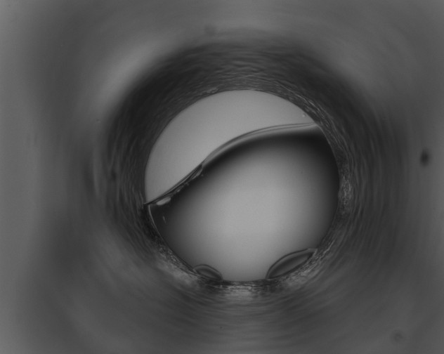 X0000095680574200801081106