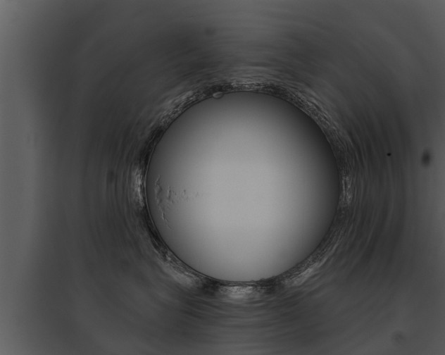 X0000095680575200801081106