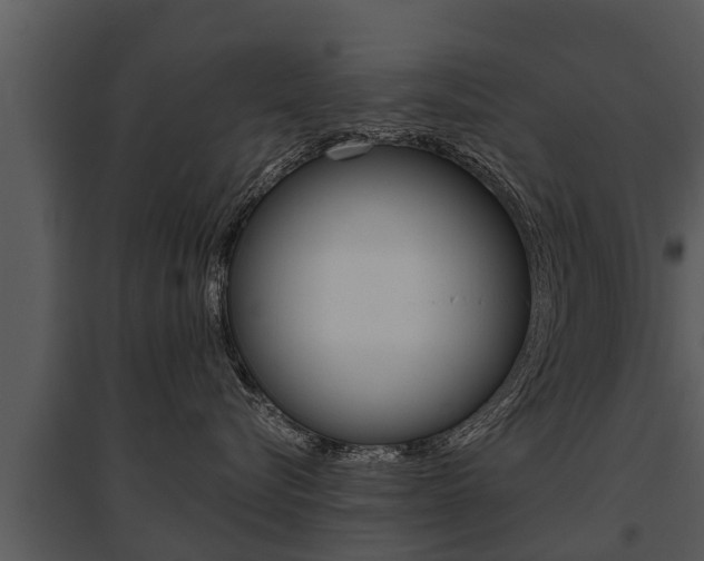 X0000095680576200801081106