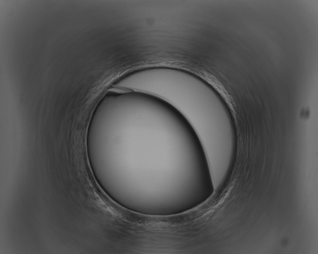 X0000095680577200801081105