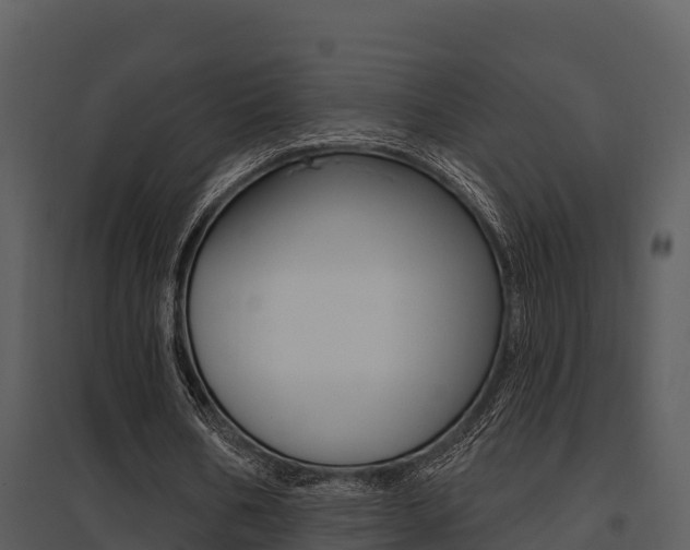 X0000095680578200801081105