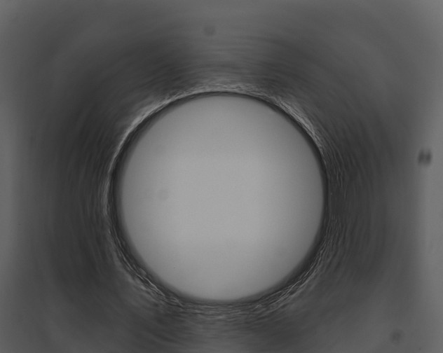 X0000095680579200801081105