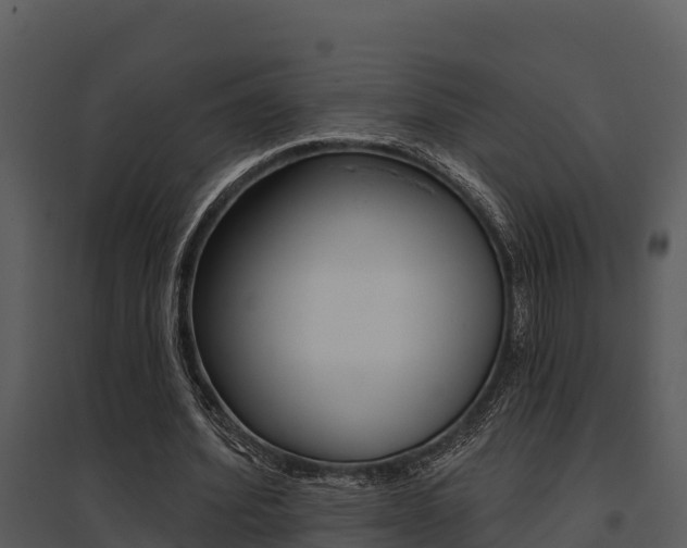 X0000095680580200801081105