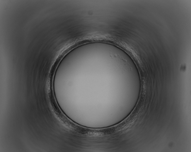 X0000095680582200801081105