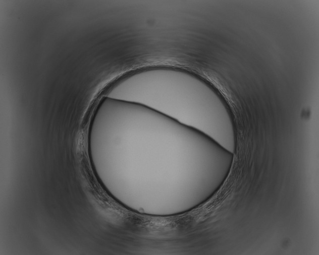 X0000095680583200801081105