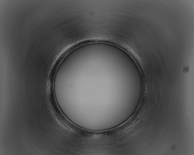 X0000095680584200801081105