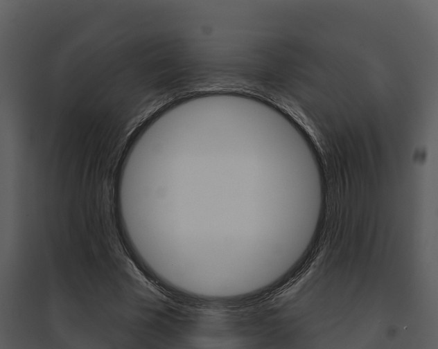 X0000095680585200801081105