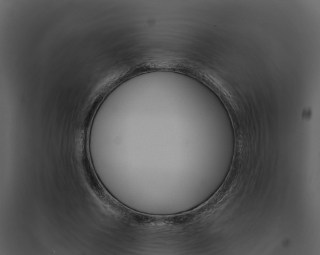 X0000095680586200801081105