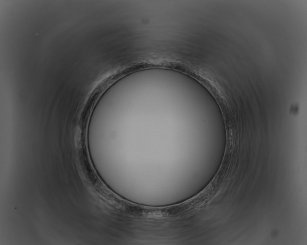 X0000095680587200801081105