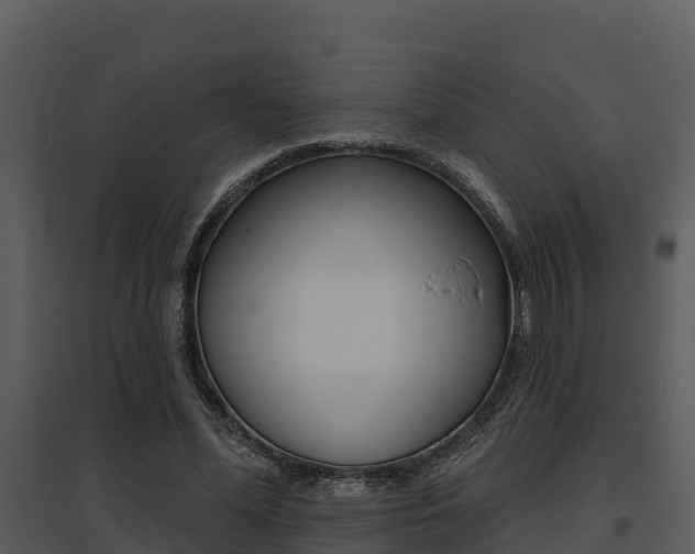 X0000095680588200801081105