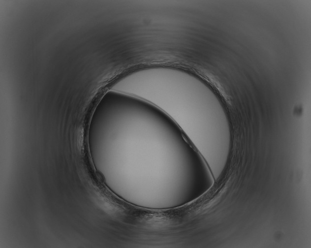 X0000095680589200801081105