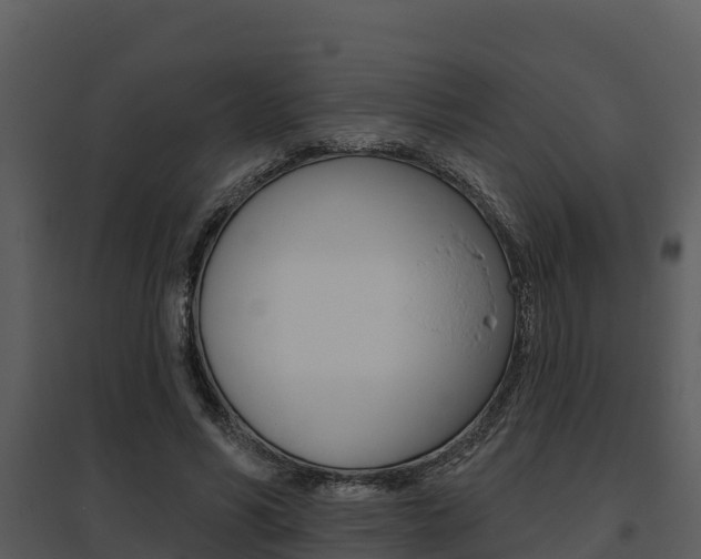 X0000095680590200801081105