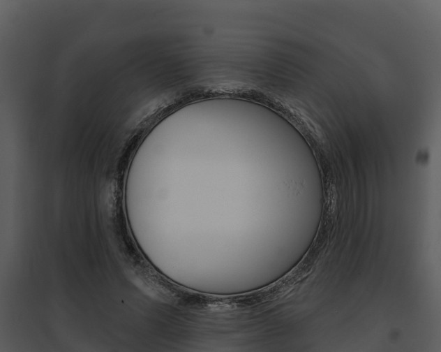 X0000095680591200801081105
