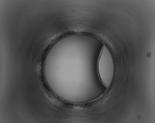 X0000095680592200801081105