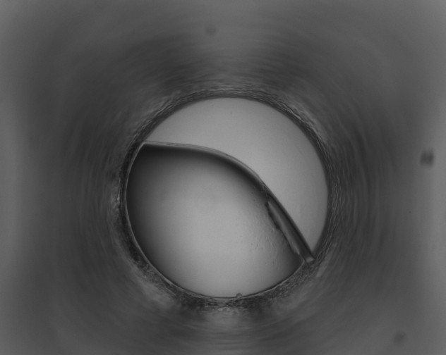 X0000095680593200801081105