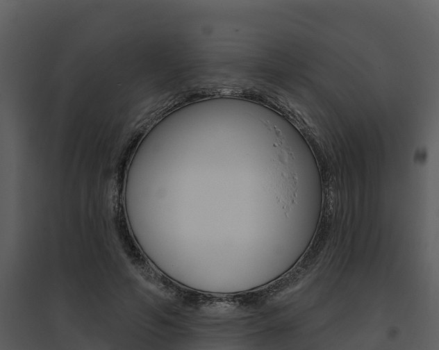 X0000095680594200801081105