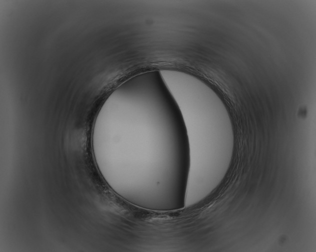 X0000095680595200801081105