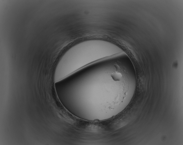 X0000095680596200801081105
