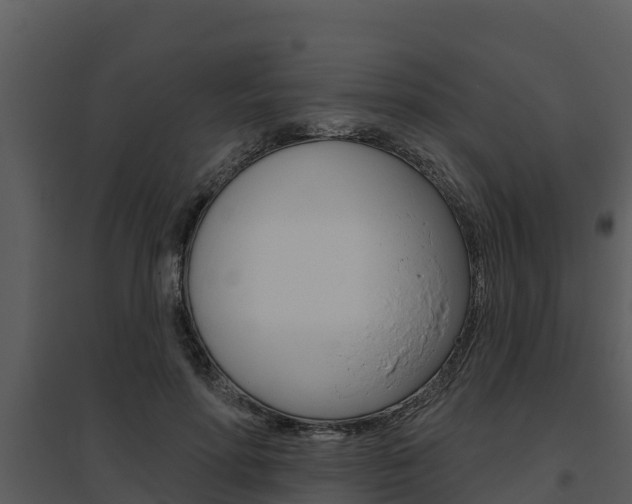 X0000095680598200801081105