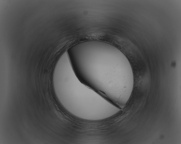 X0000095680599200801081105