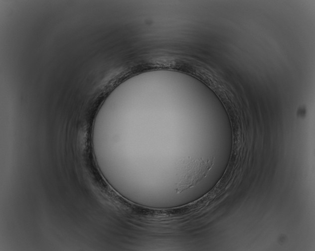 X0000095680600200801081104