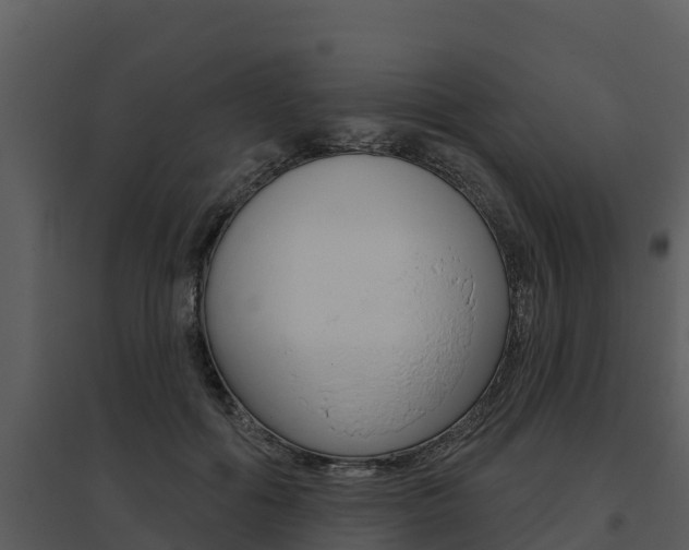 X0000095680602200801081104