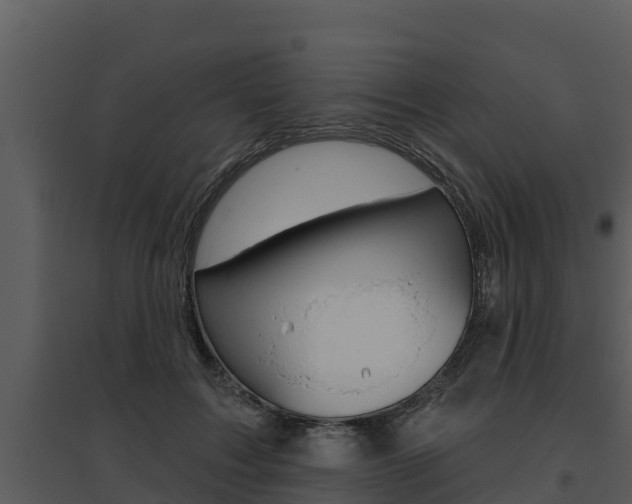 X0000095680603200801081104