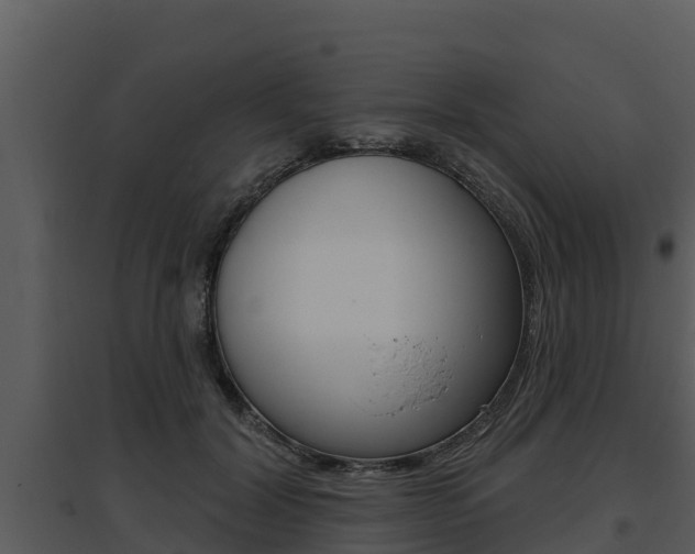 X0000095680604200801081104