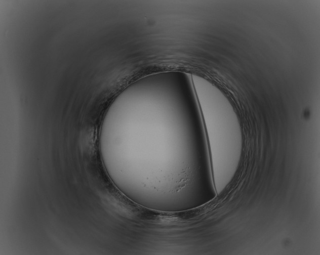 X0000095680605200801081104
