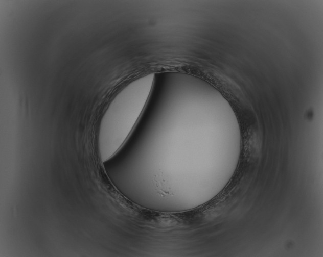 X0000095680608200801081104
