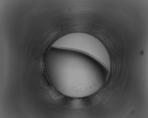 X0000095680609200801081104