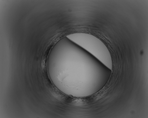 X0000095680611200801081104