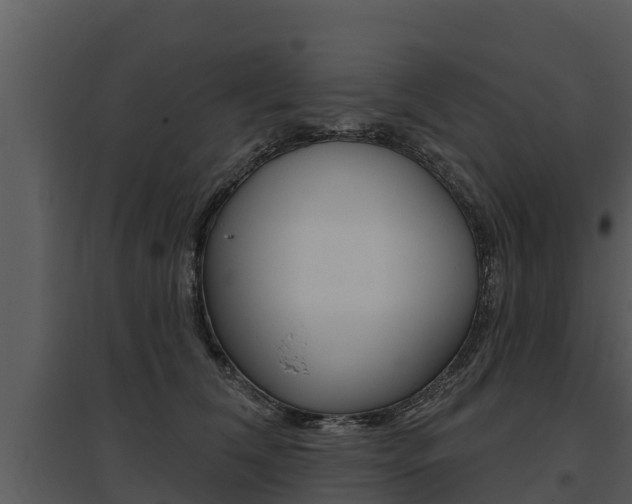 X0000095680612200801081104