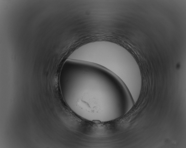 X0000095680613200801081104