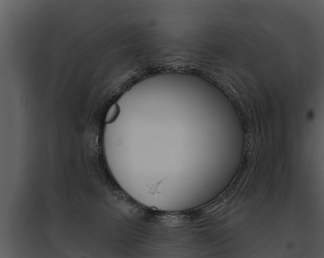 X0000095680615200801081104
