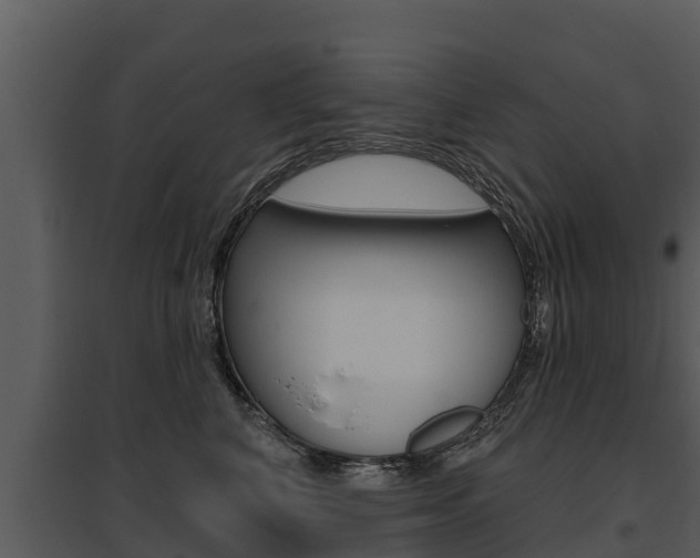 X0000095680616200801081104