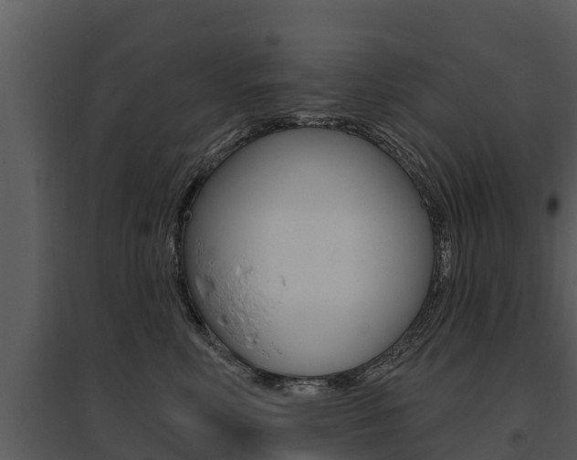 X0000095680618200801081104