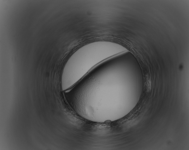 X0000095680619200801081104