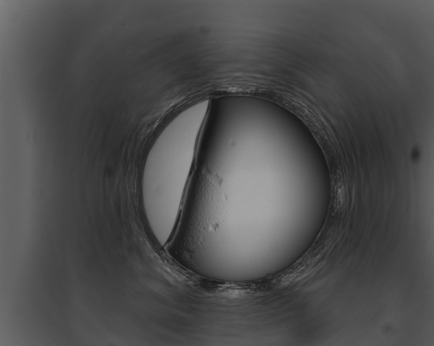X0000095680620200801081104