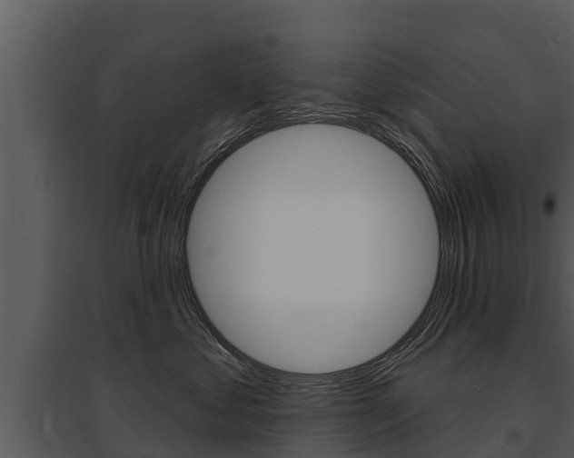 X0000095680621200801081104