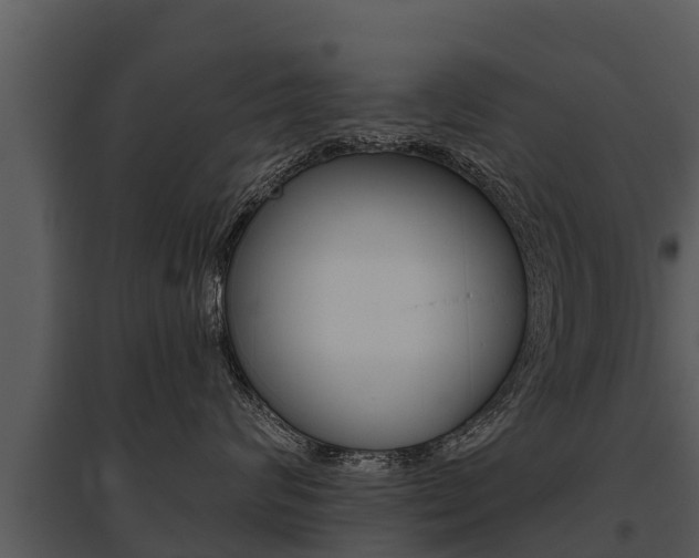 X0000095680624200801081104