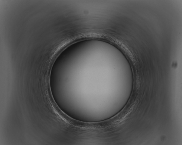 X0000095680625200801081103