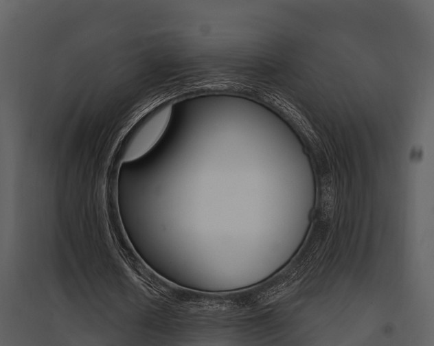 X0000095680626200801081103