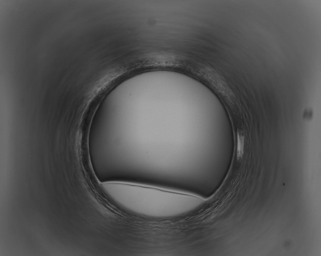 X0000095680627200801081103